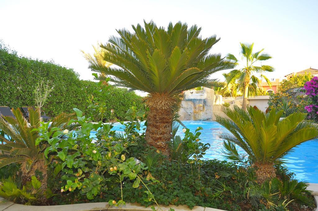 Shahrazad Sheikh * Sharm el-Sheikh