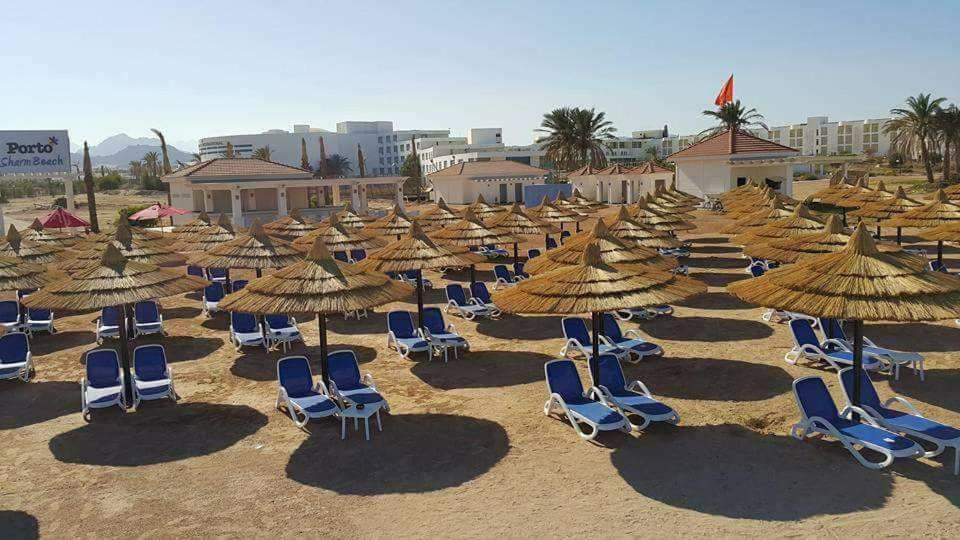 Porto Sheikh Families بورتو