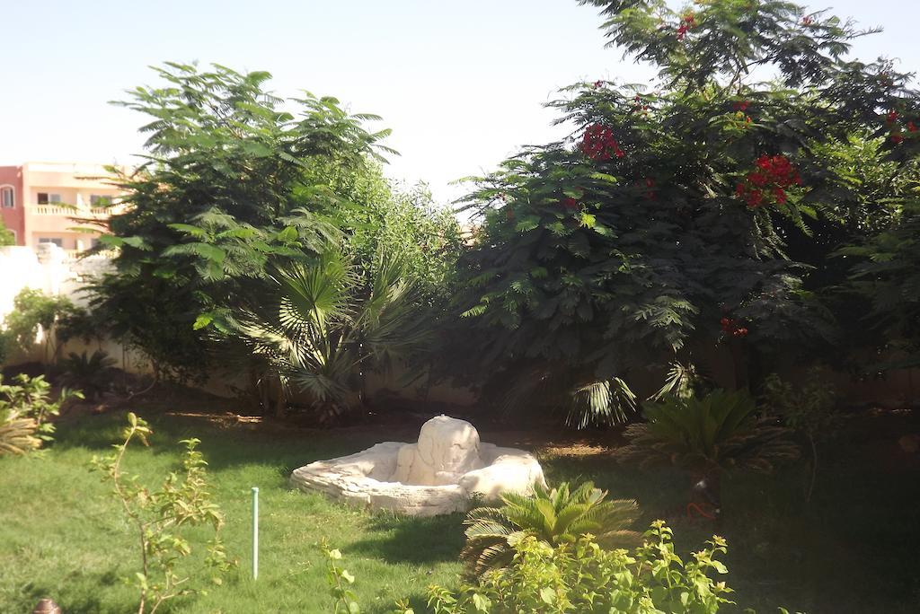 Shahrazad Sheikh * Sharm el-Sheikh