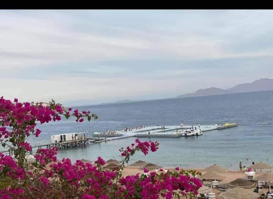 Domina Coral Bay Apartment