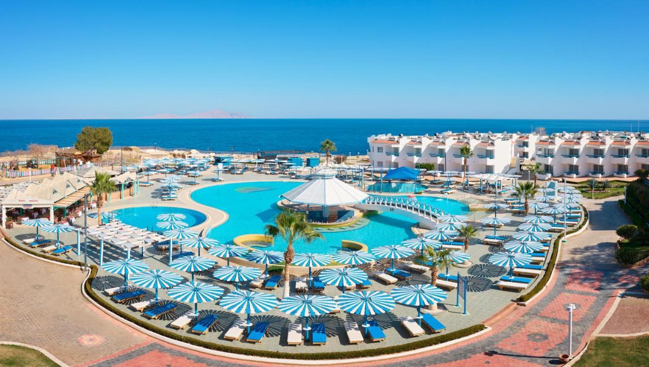 Resort Dreams - Sheikh