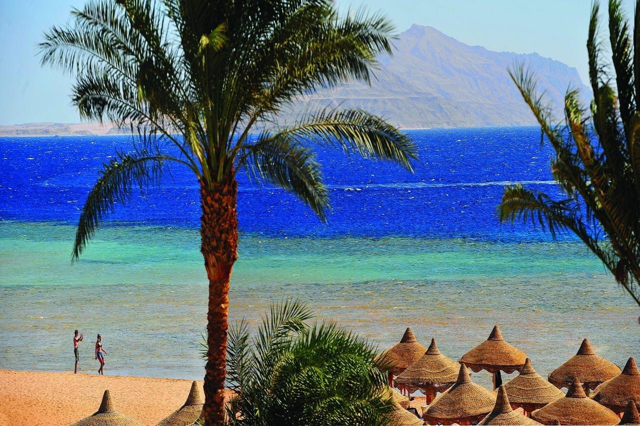Baron Palms Adults Friendly Only 16 Years Boutique Style Sharm El Sheikk