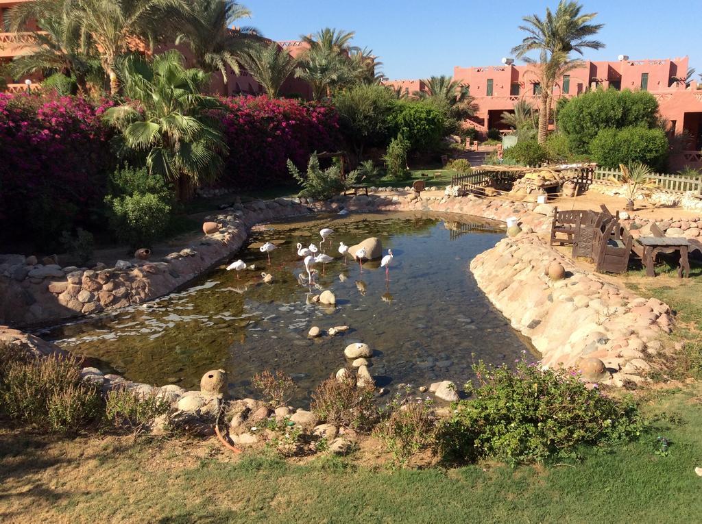 Resort Hauza & Aqua Sharm El Sheikk