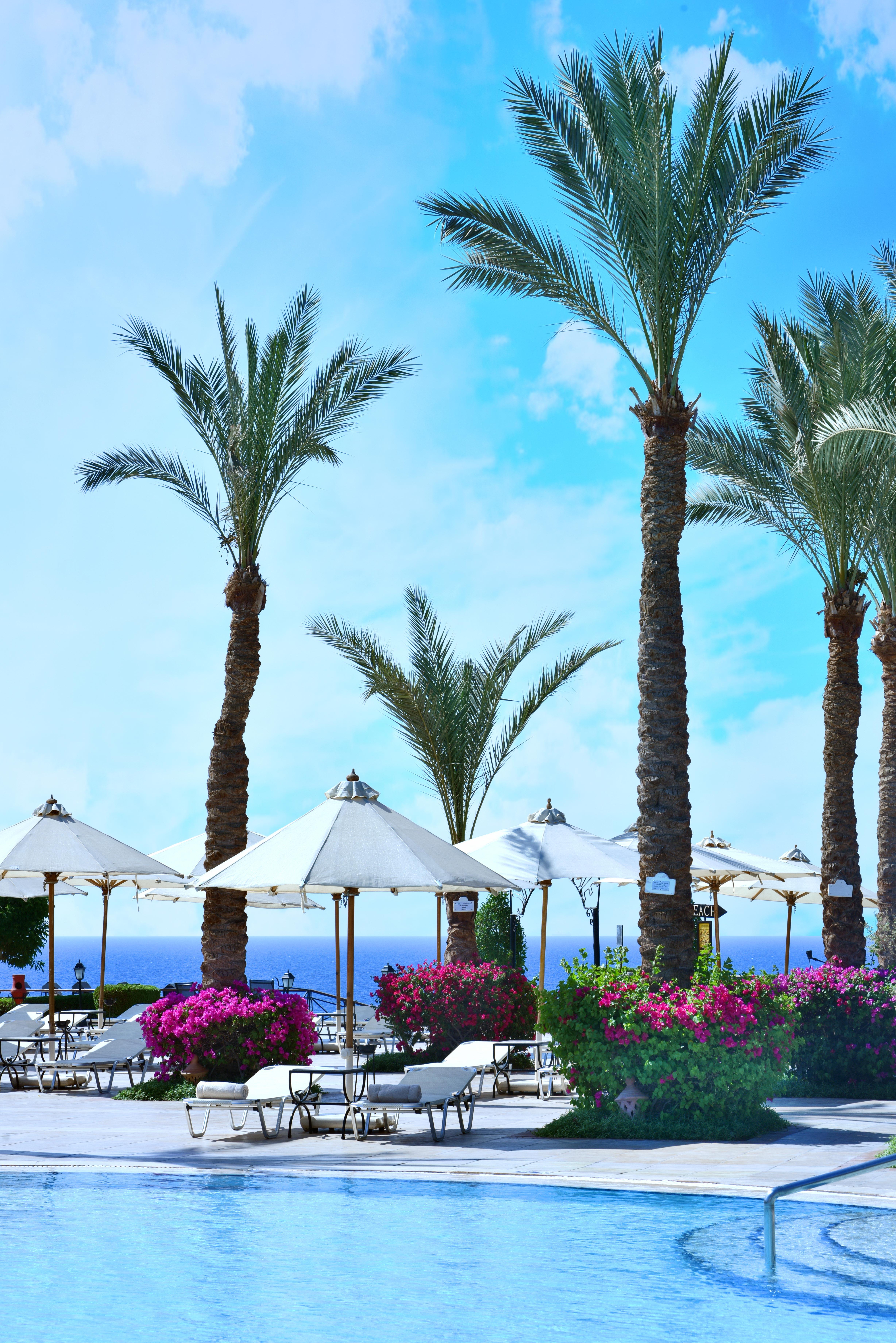 Resort Jaz Fanara