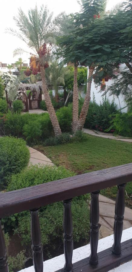 Delta Shahrazad Apartment Sharm el-Sheikh