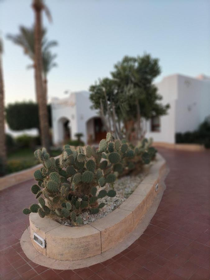 Coral Bay Roby Sharm el-Sheikh