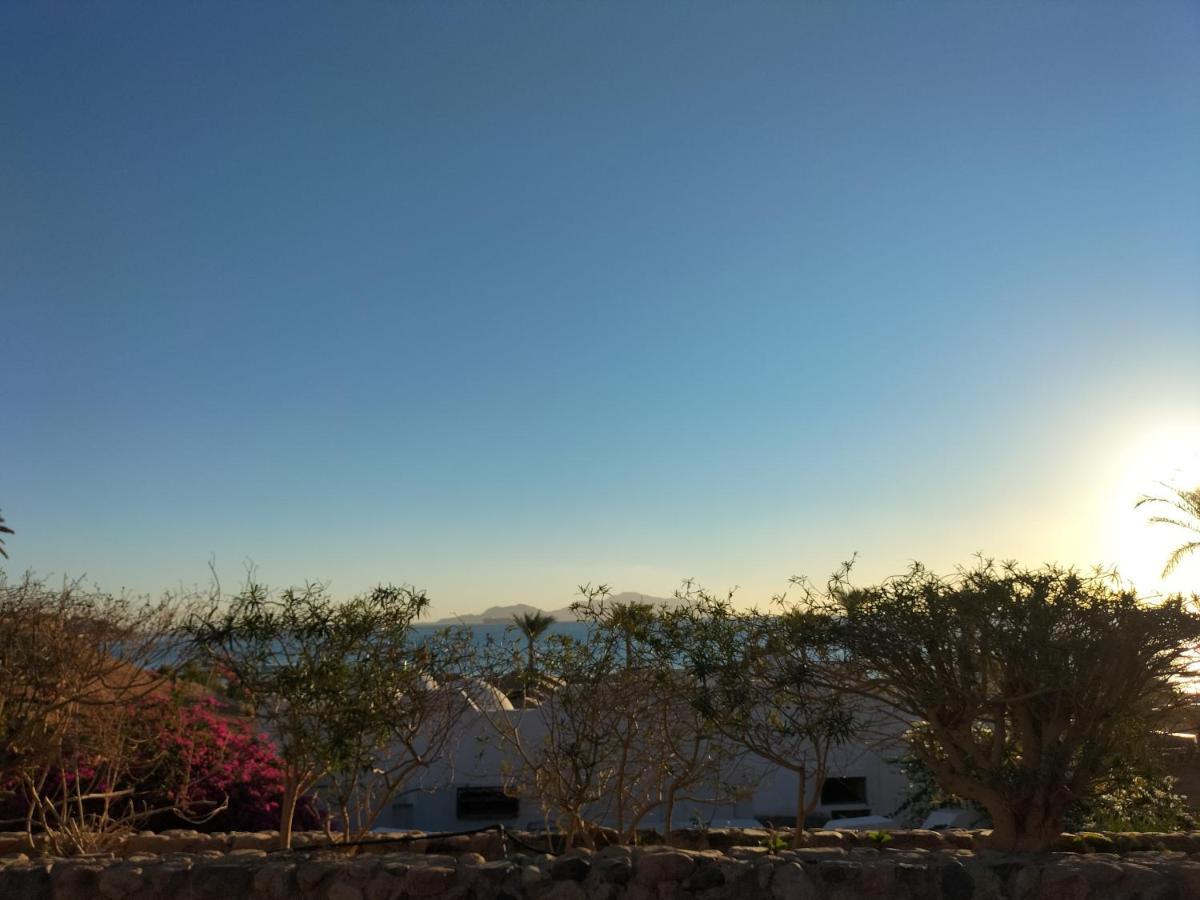 Coral Bay Roby Apartment Sharm el-Sheikh