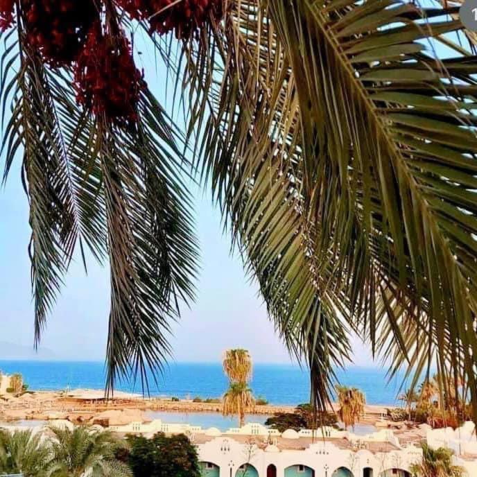 Apartment Domina Coral Bay Sharm el-Sheikh