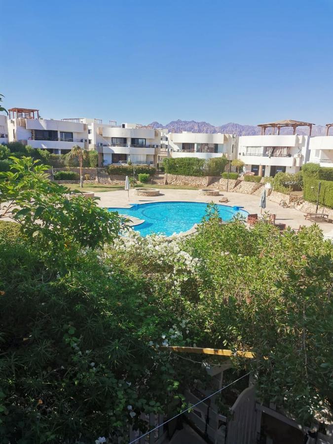 Criss * Sharm-el-Sheikh