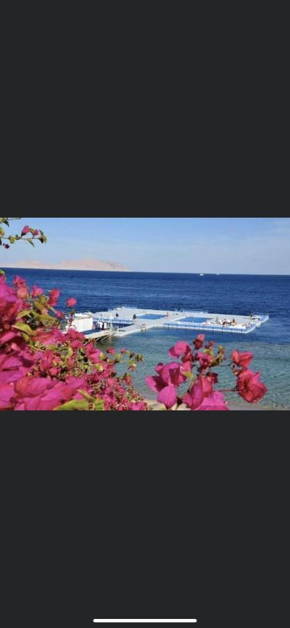 Private Furnished Studio At Domina Coral Bay Hareem *