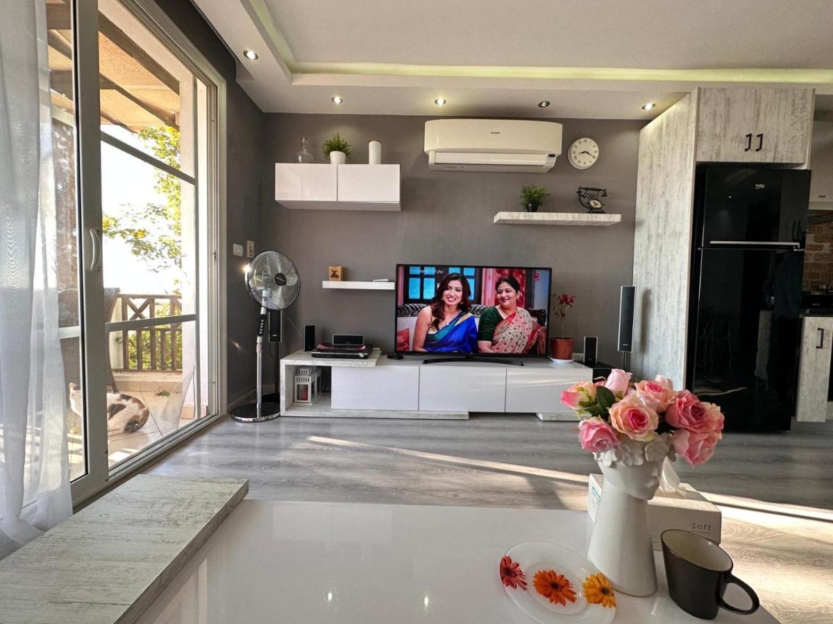 Apartment Modern