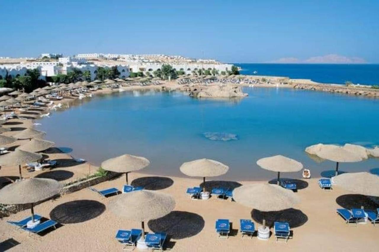 Domina The Lovely * Sharm El-Sheikh