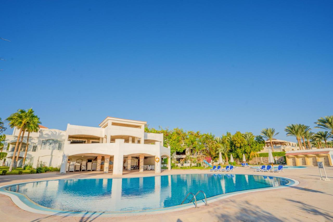 Ivy Cyrene Adults Friendly 13 Resort Sharm el-Sheikh