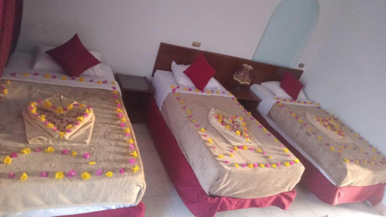Halomy 3* Sharm el-Sheikh