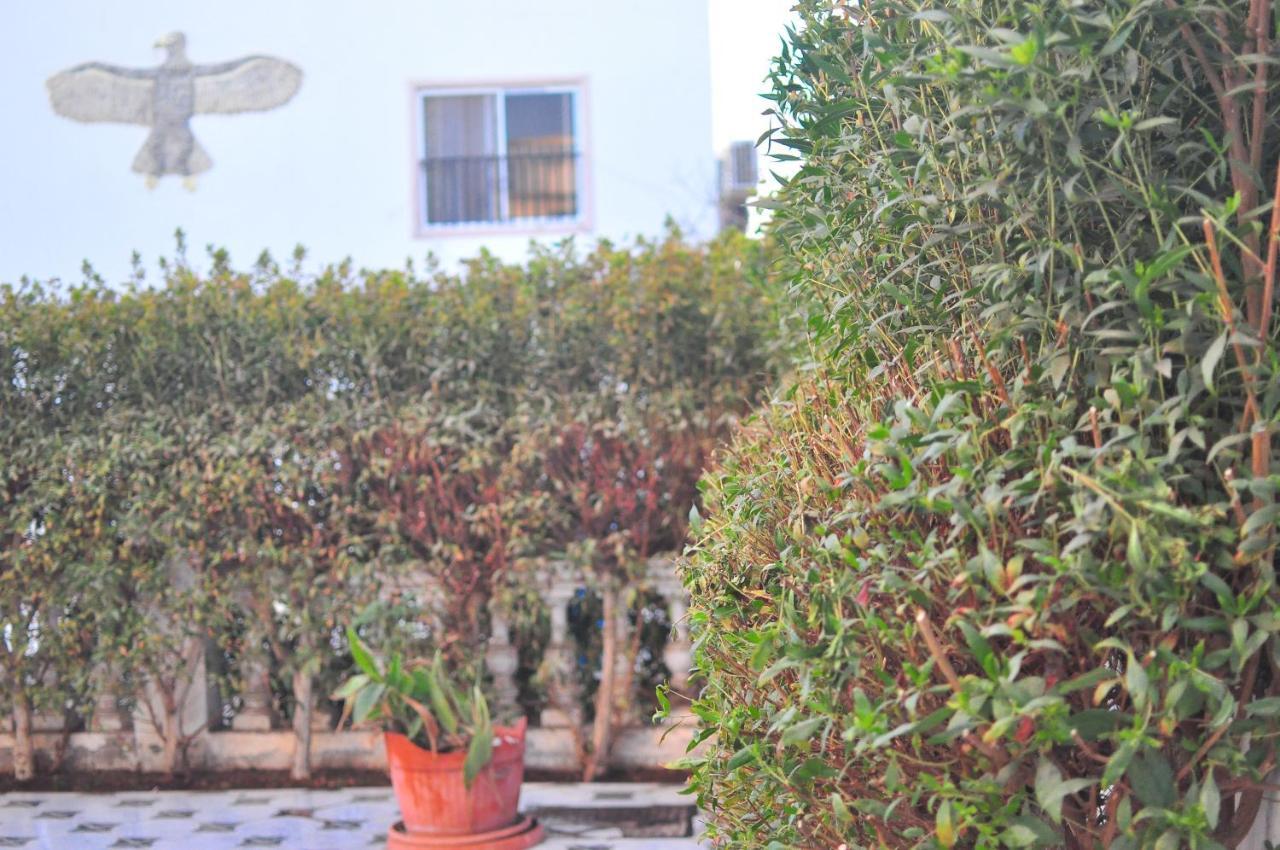 Guest house Morning Star Sharm el-Sheikh