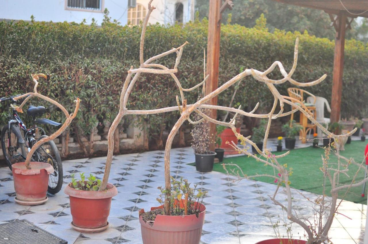 Morning Star Guest house