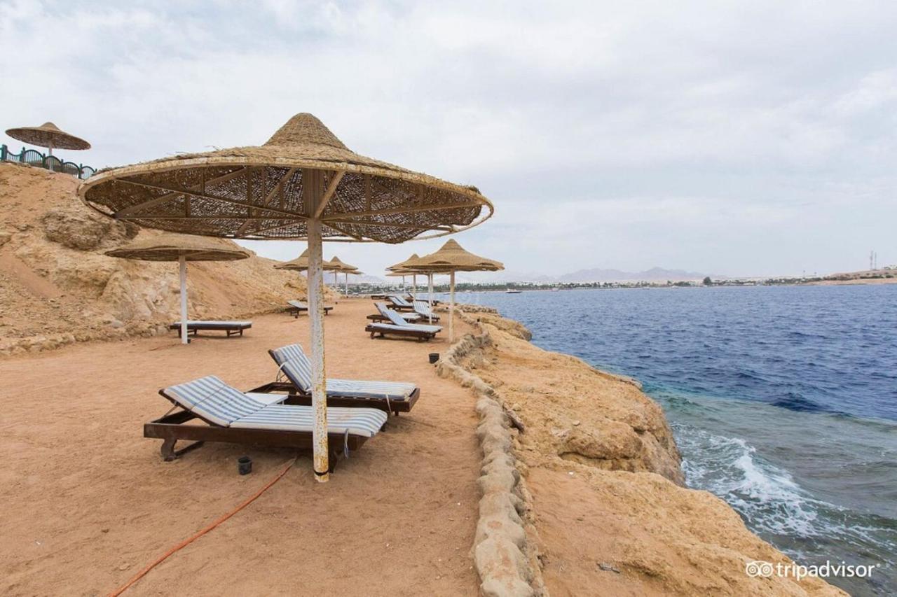 Halomy 3* Sharm el-Sheikh