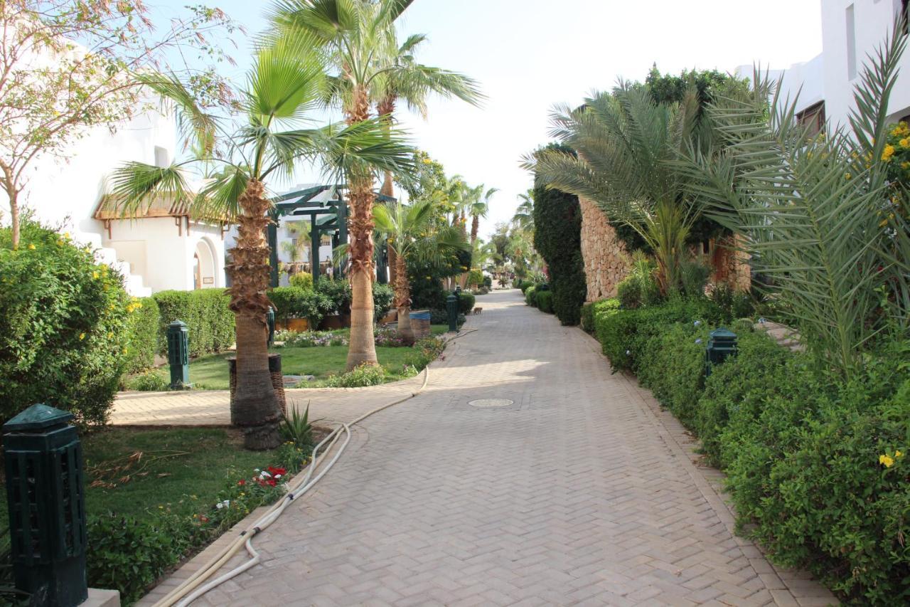 Delta Sharm Vacation Appartamento