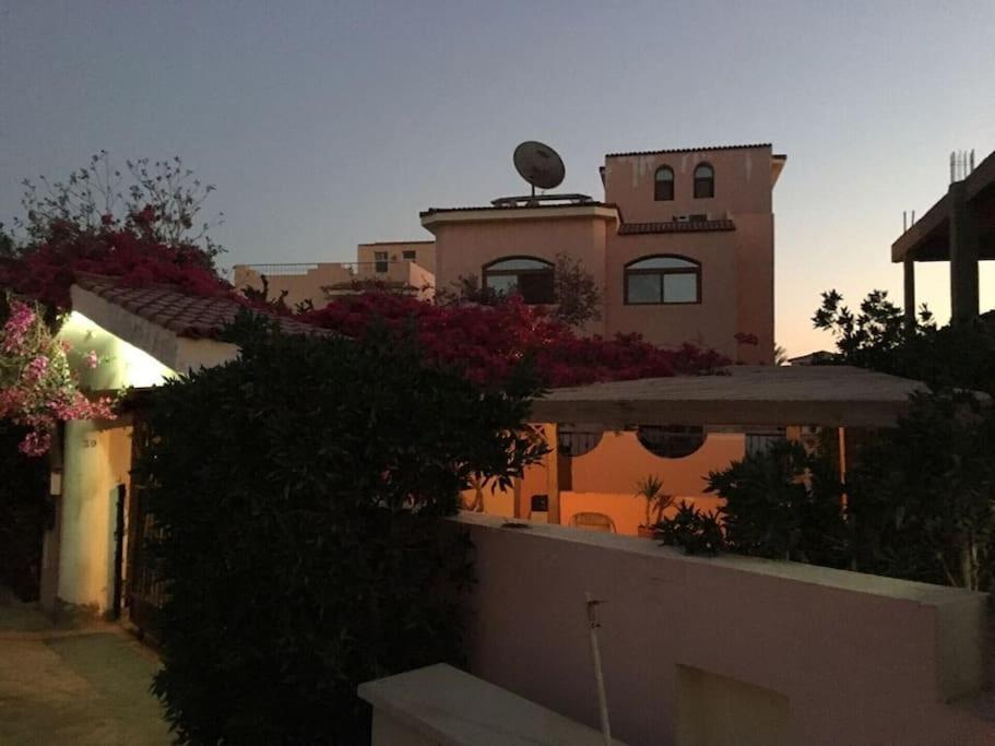 Dina Sharm el-Sheikh