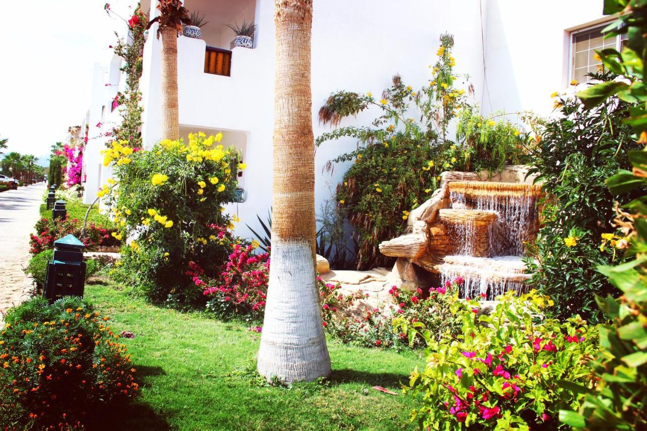 Delta Sharm Vacation Appartamento *