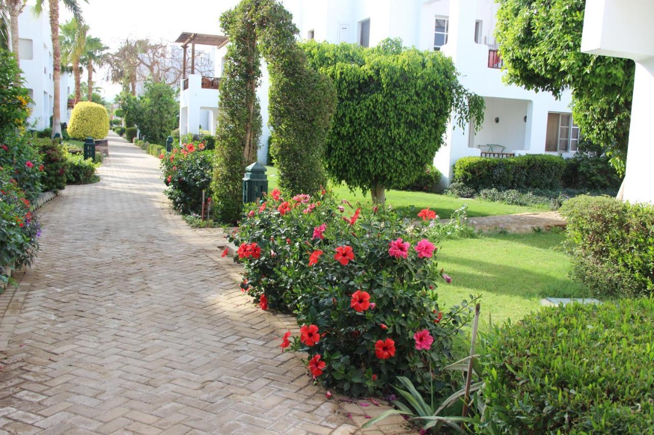 Delta Sharm Vacation Appartamento