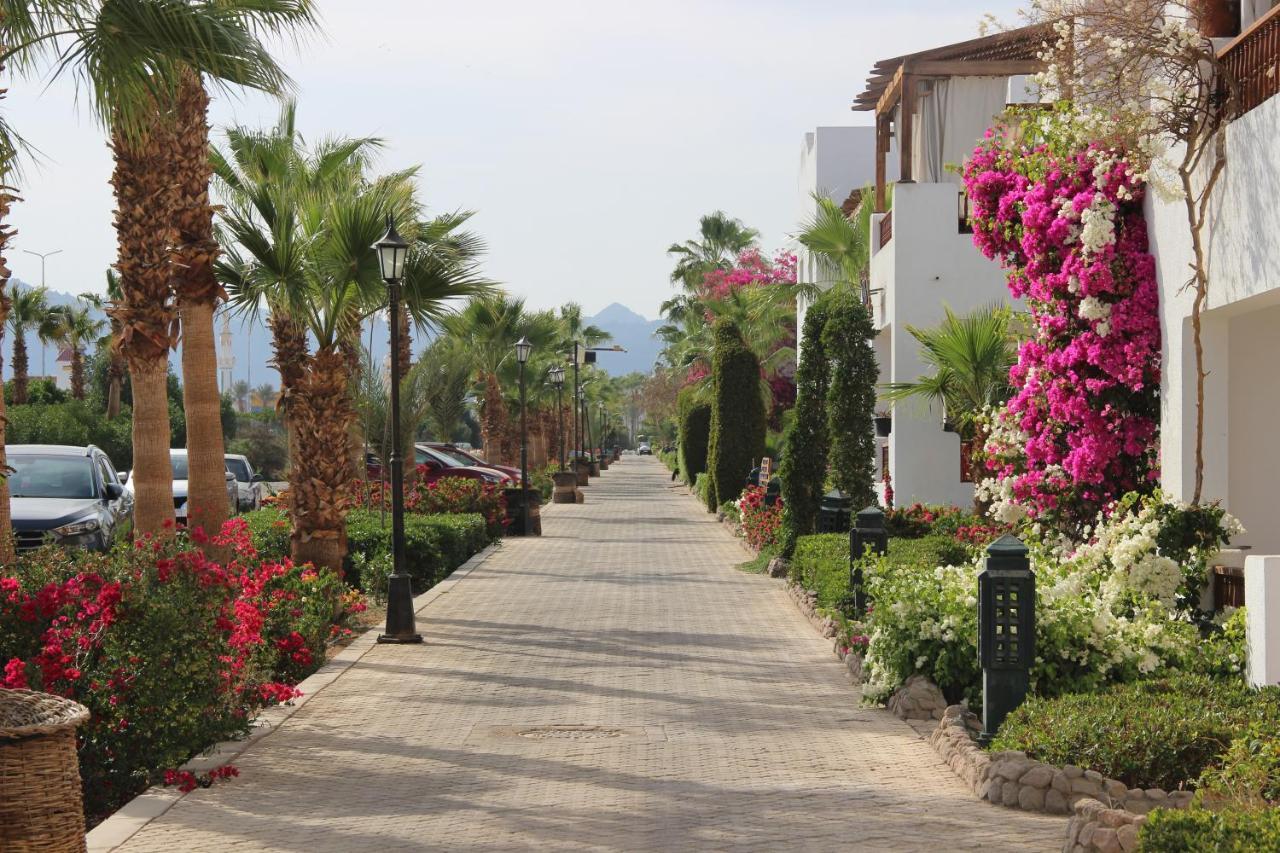 Delta Sharm Vacation
