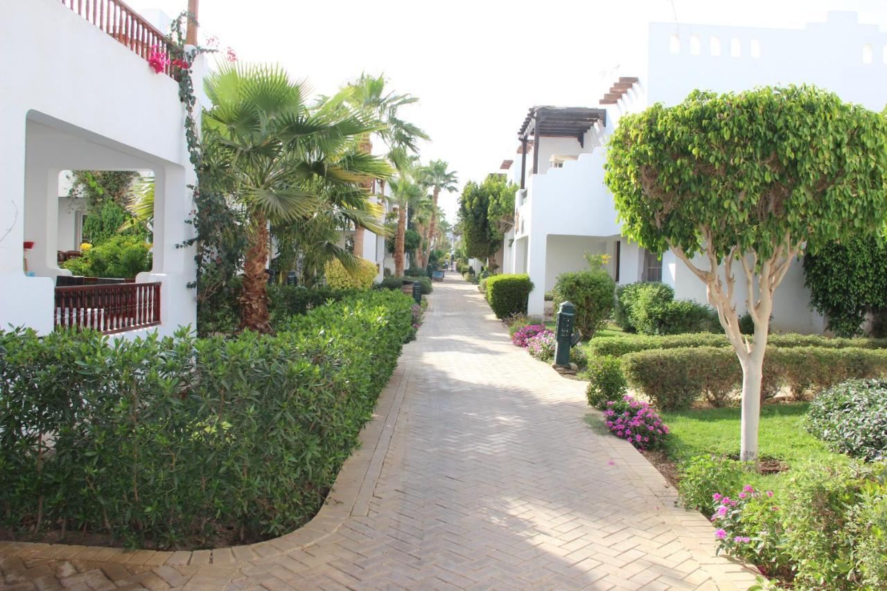 Delta Sharm Vacation *