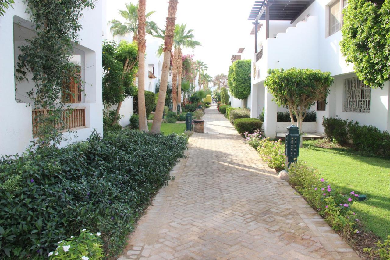 Delta Sharm Vacation *