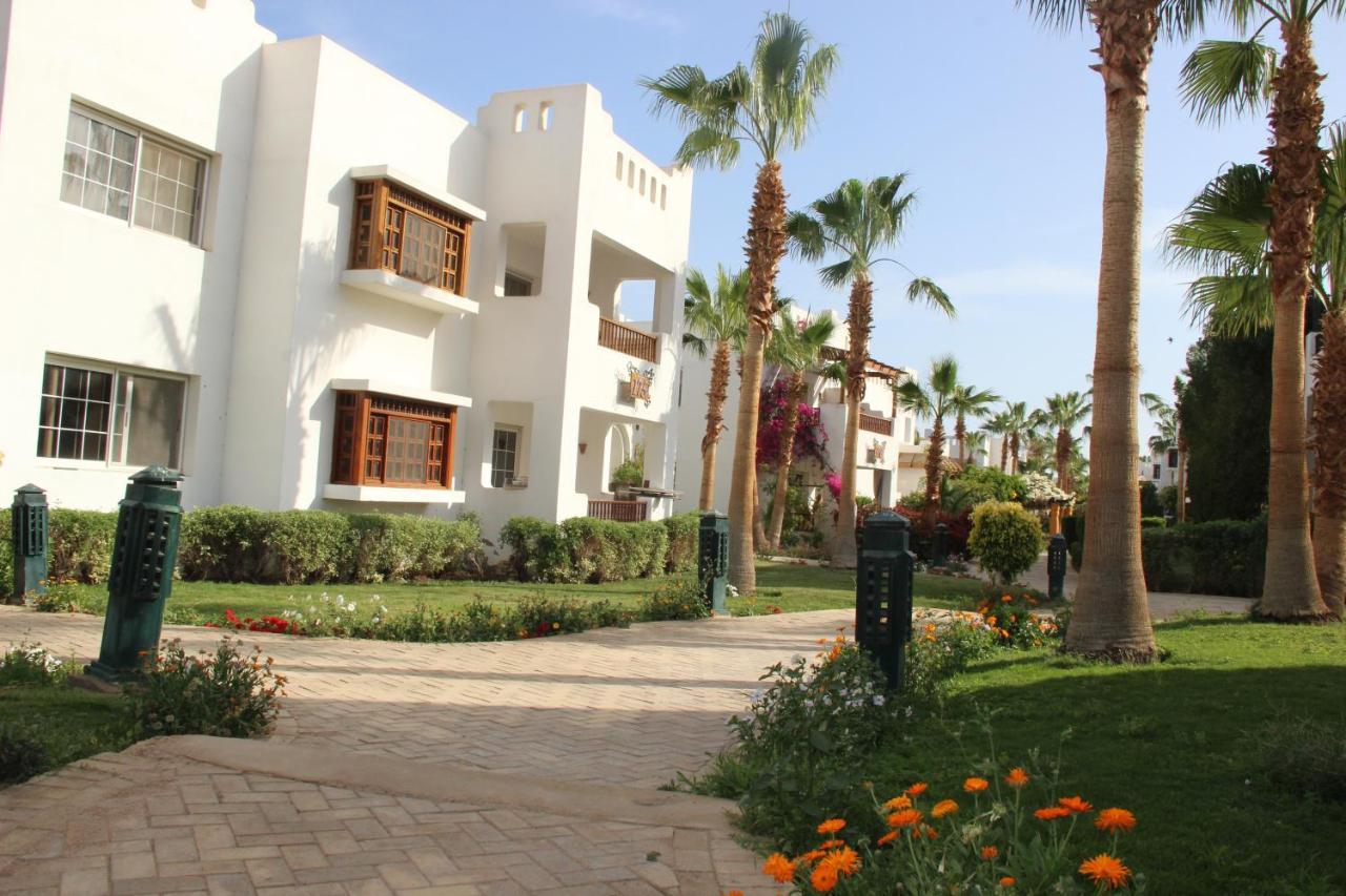Delta Sharm Vacation