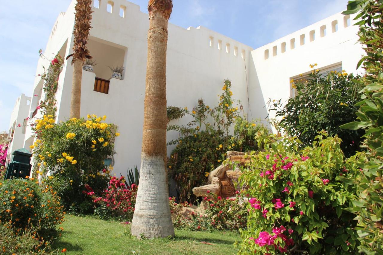 Delta Sharm Vacation Appartamento
