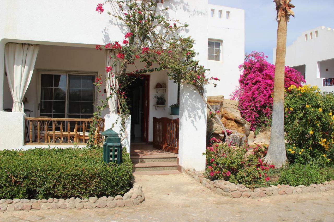 Delta Sharm Vacation