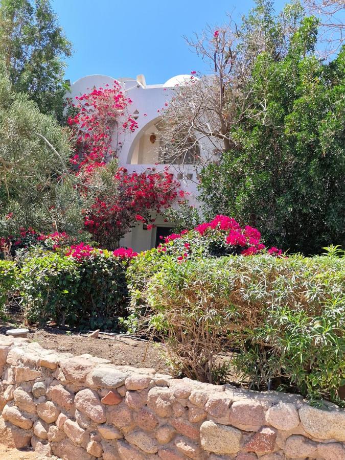 Domina Coral Bay Harem Apartment Sharm el-Sheikh