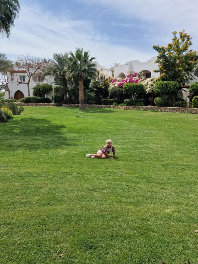 Domina Coral Bay Harem Apartment Sharm el-Sheikh