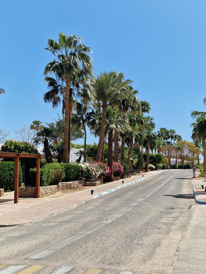 Domina Coral Bay Harem * Sharm el-Sheikh