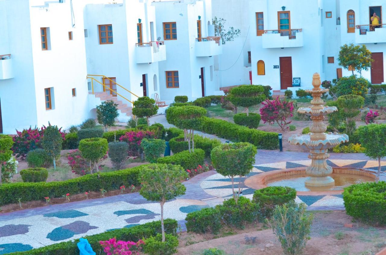 Hotel Halomy