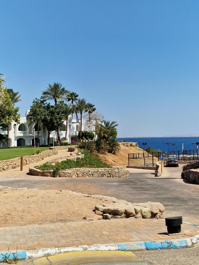 Domina Coral Bay Harem