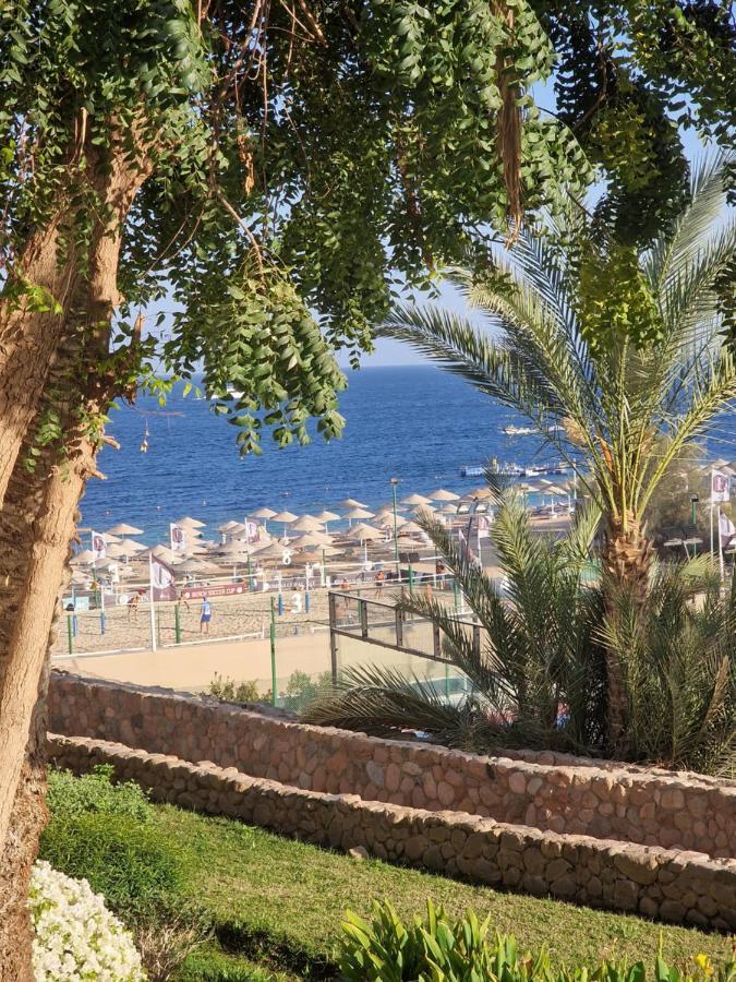 Apartment Domina Coral Bay Harem *