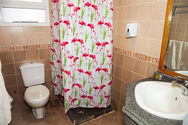 Apartment Sharm * Sharm El Sheikk