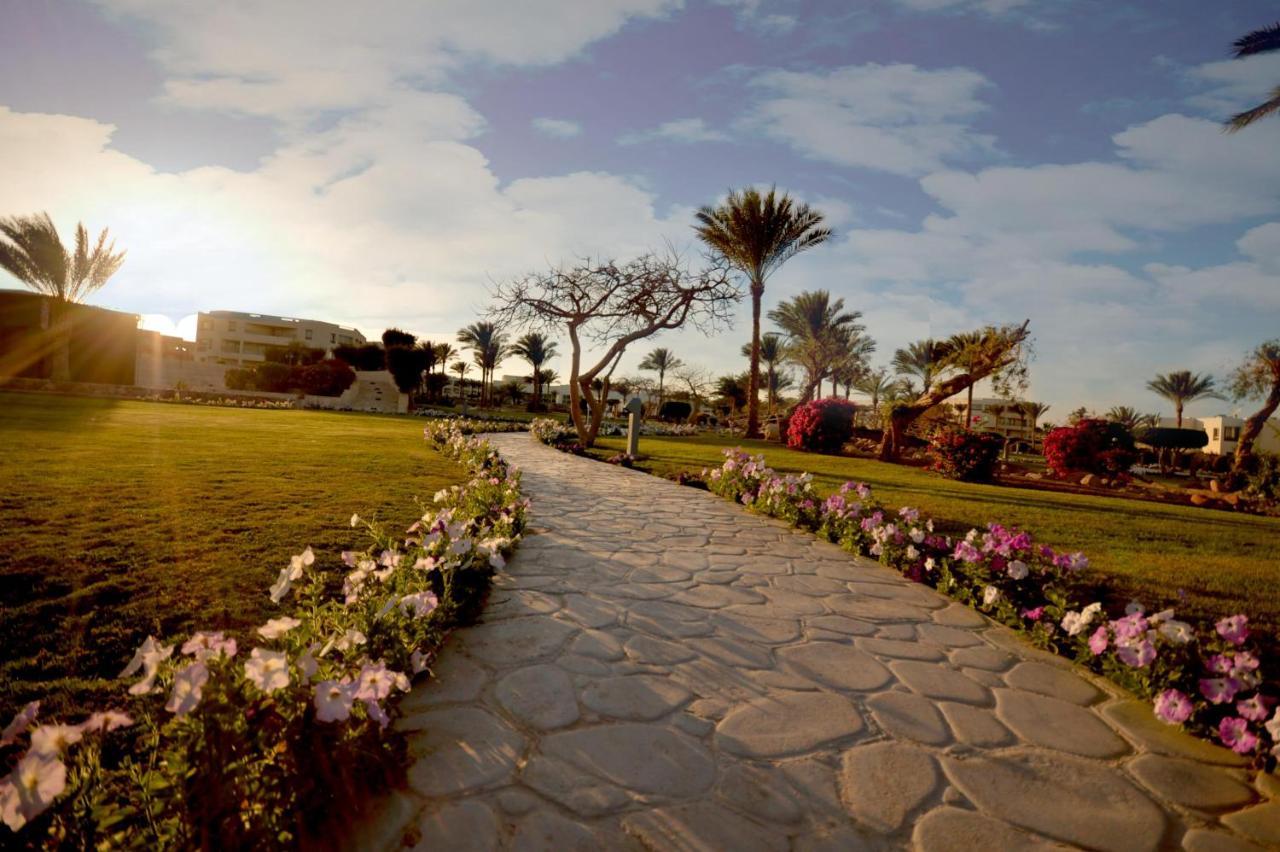 Resort Aurora Oriental Sharm el Sheikh