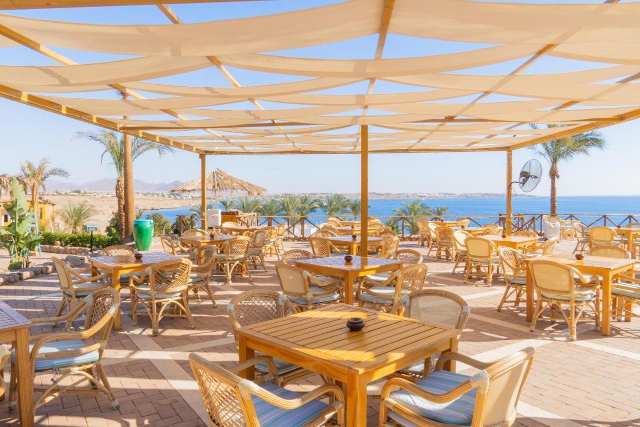 Club Reef & Sharm el-Sheikh