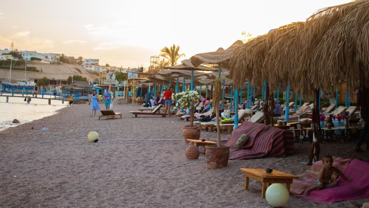 Resort Sharks Bay Oasis Aqua Park 3*