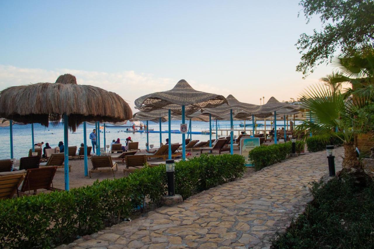 Resort Sharks Bay Oasis Aqua Park