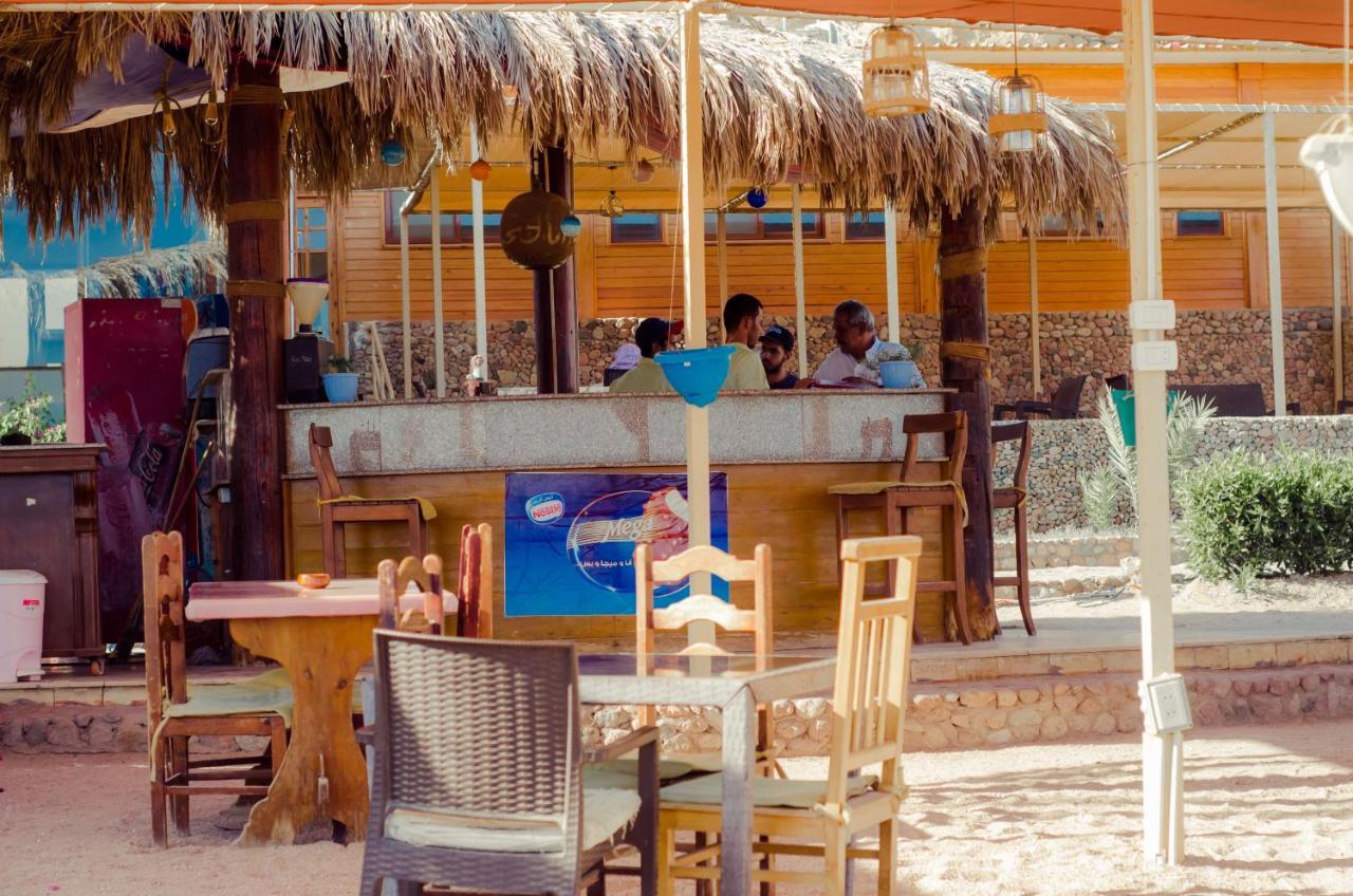 Sharks Bay Oasis Aqua Park Resort