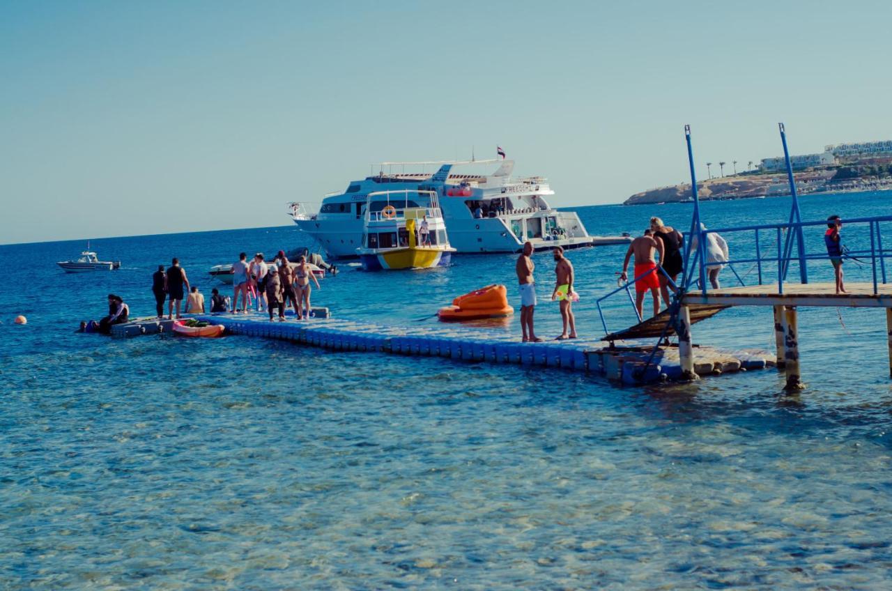Sharks Bay Oasis Aqua Park