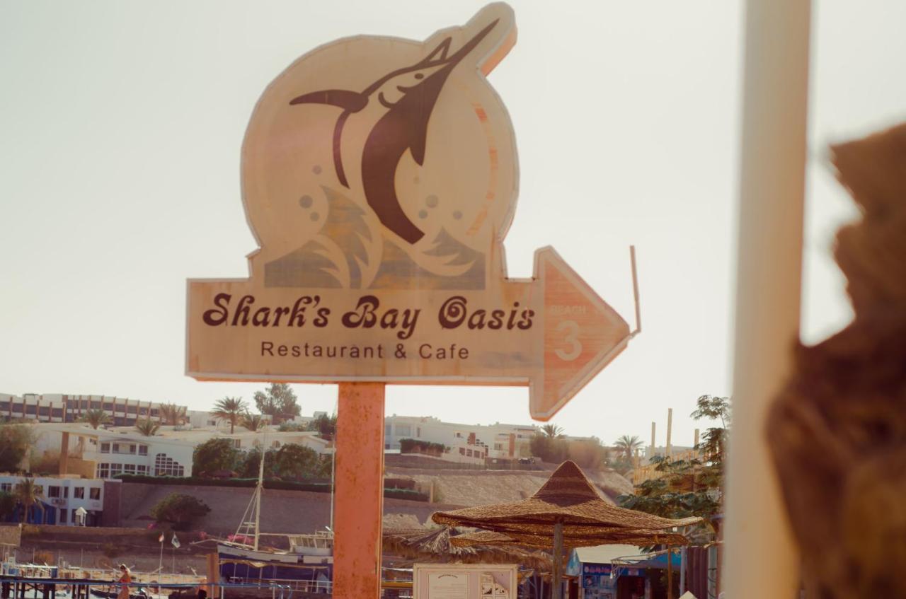 Sharks Bay Oasis Aqua Park Resort
