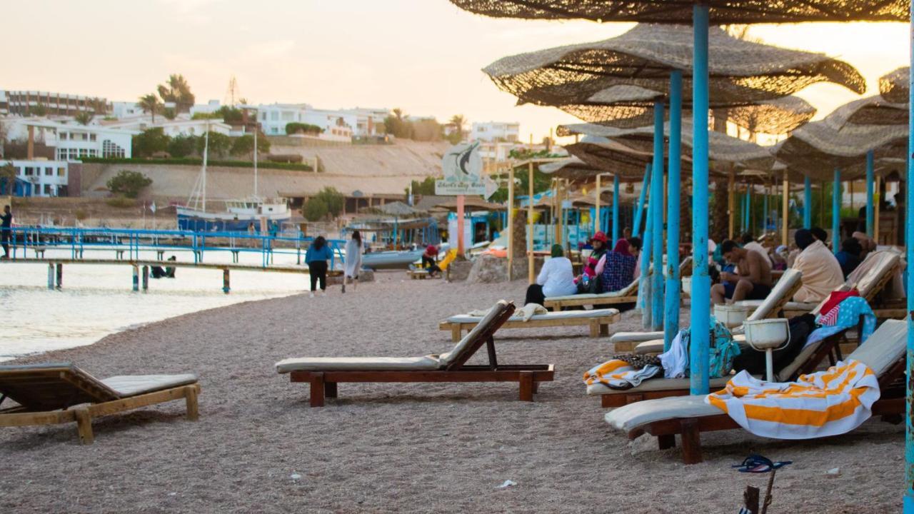 Sharks Bay Oasis Aqua Park Resort 3*
