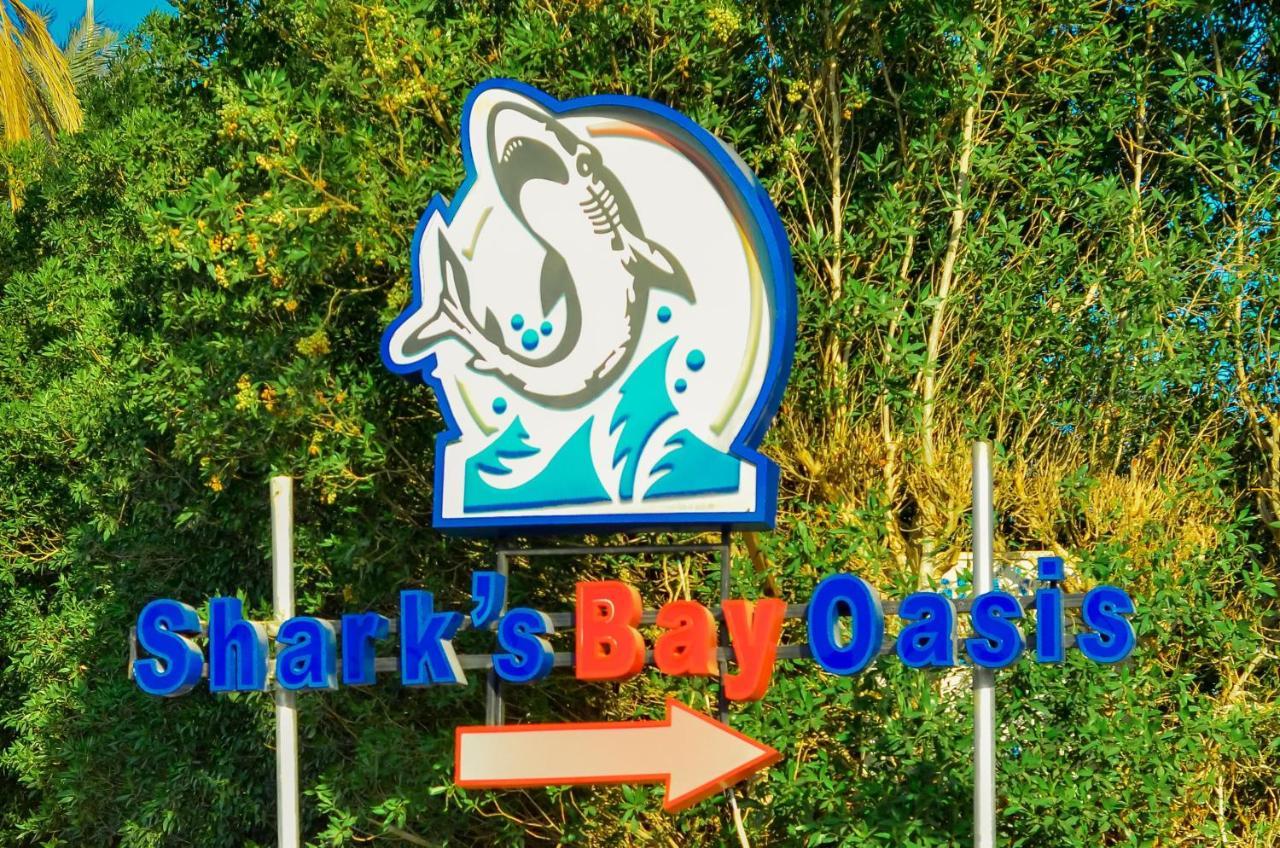 Sharks Bay Oasis Aqua Park 3*