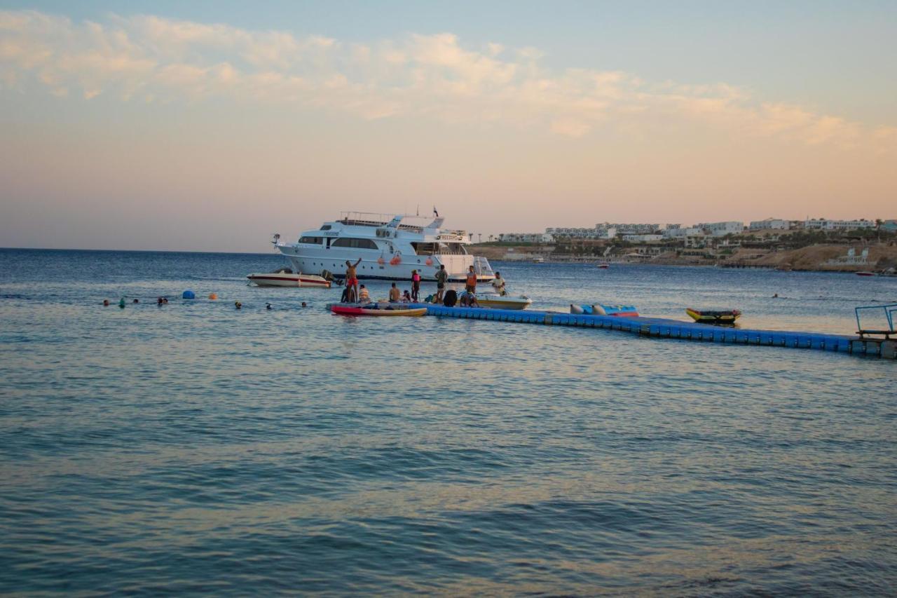 Sharks Bay Oasis Aqua Park