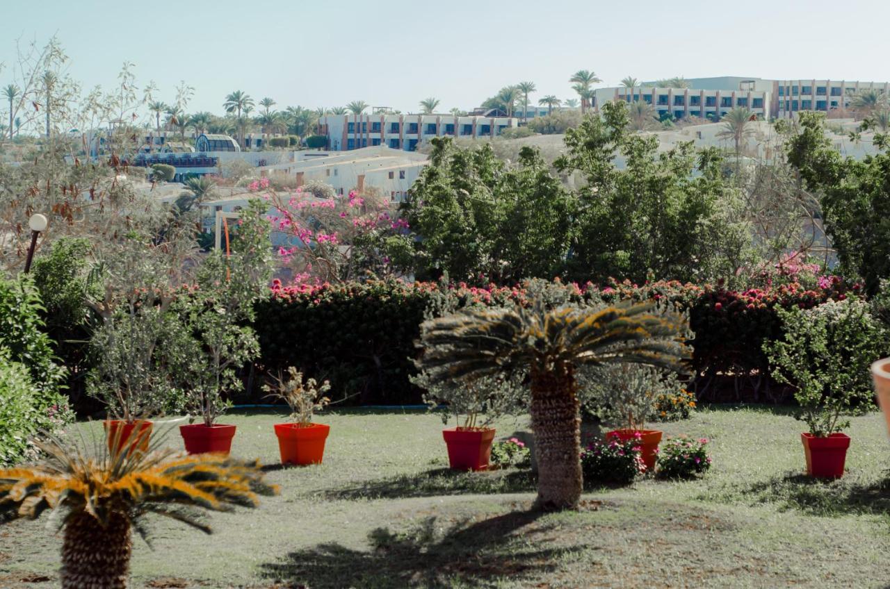 Resort Sharks Bay Oasis Aqua Park