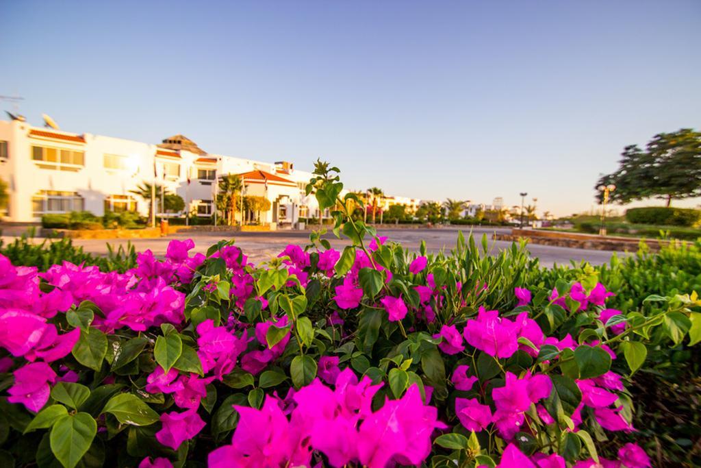 Le Mirage New Tower Resort 4*